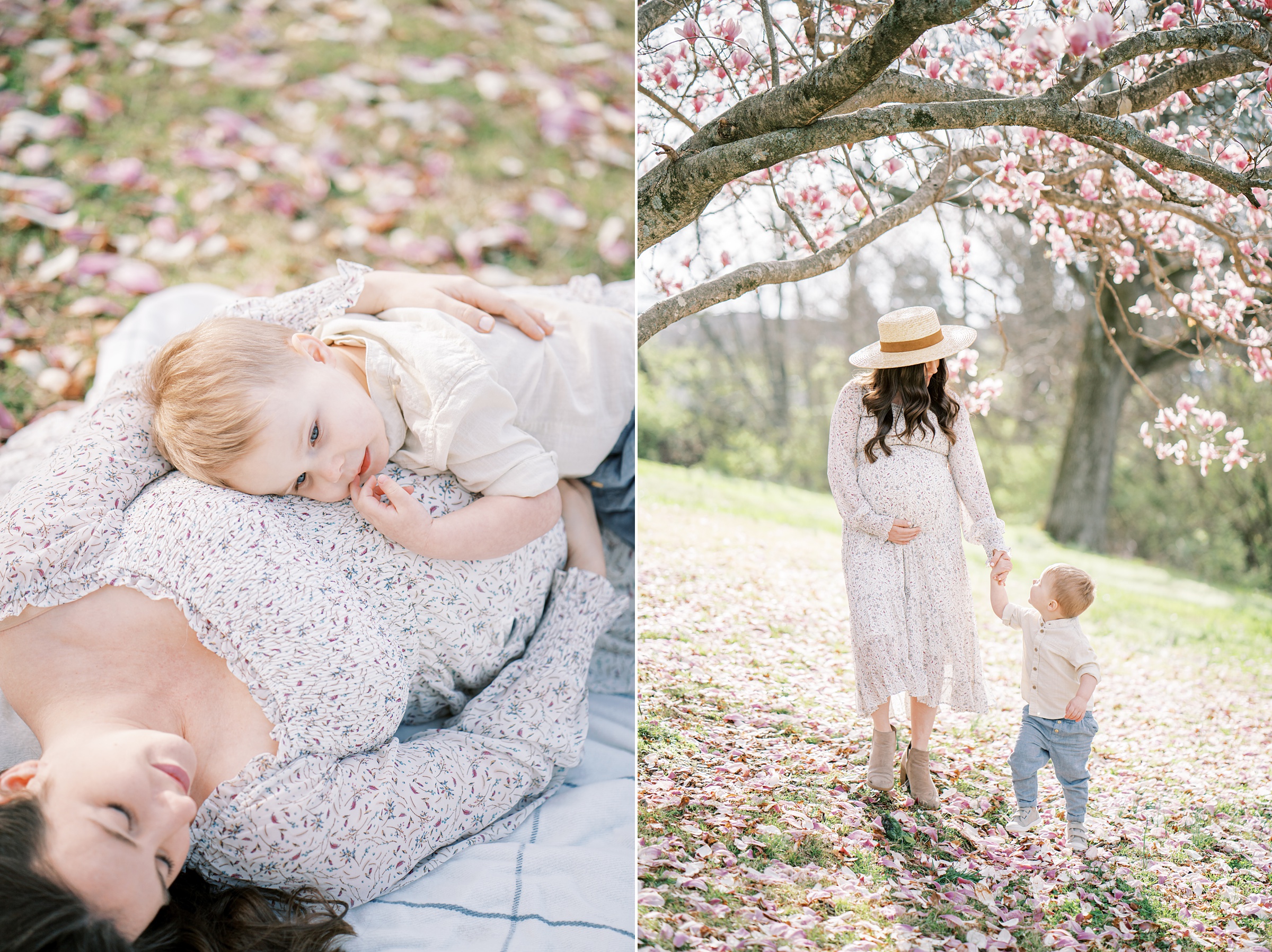 toddler lays on mom's belly during maternity photos