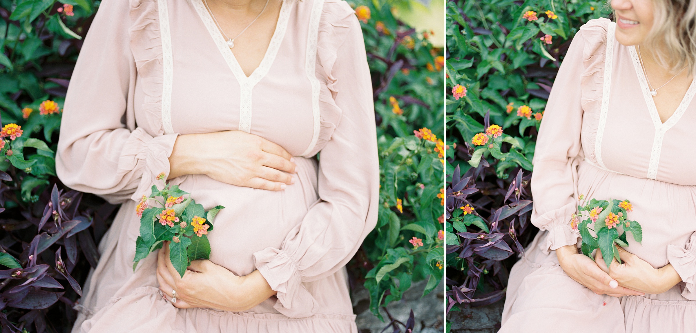 woman holds orange flowers next to pregnant belly during Ellington Agricultural Center Maternity Session