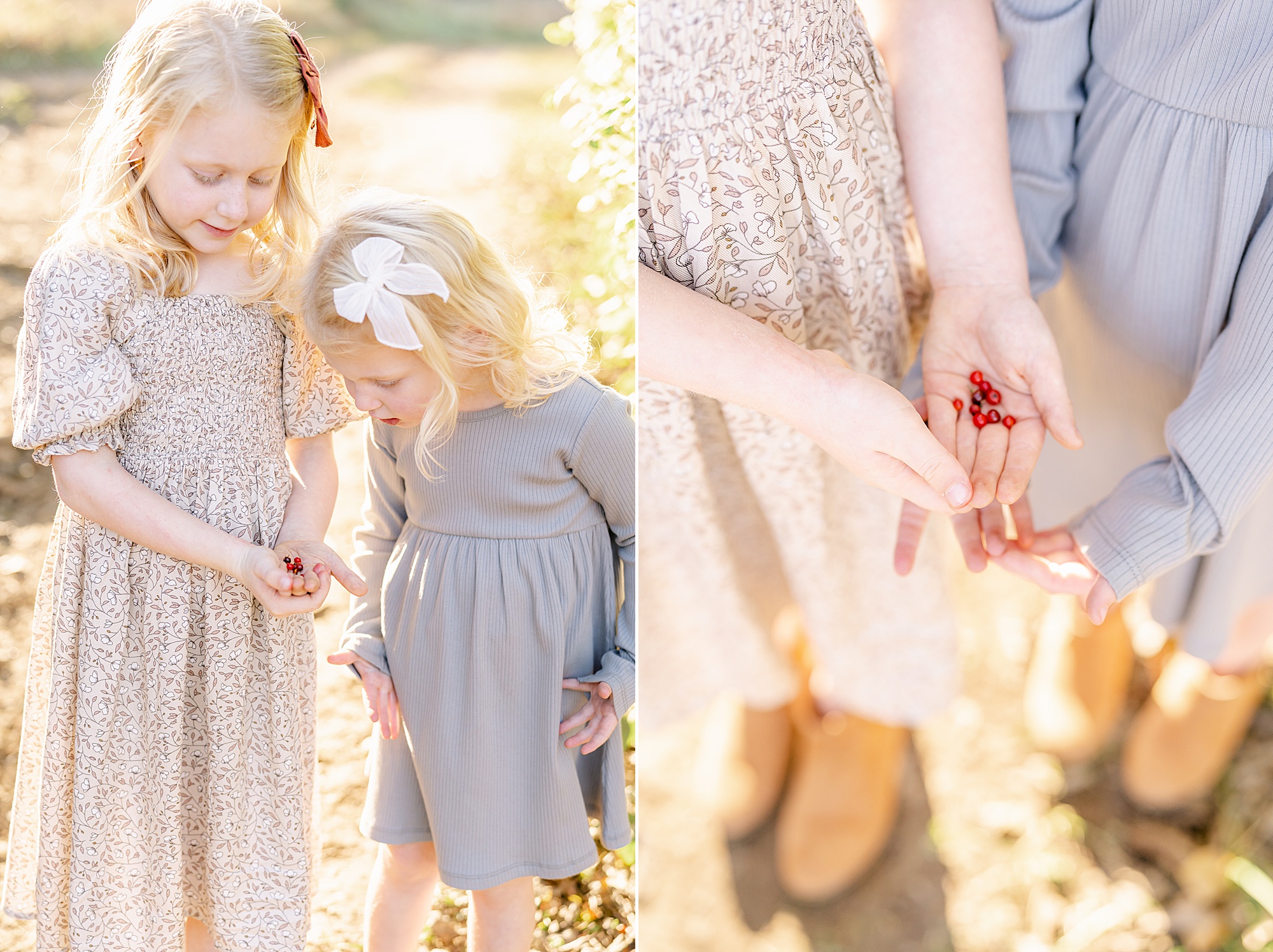 two little girls pick berries during their Brentwood Tennessee Family Session