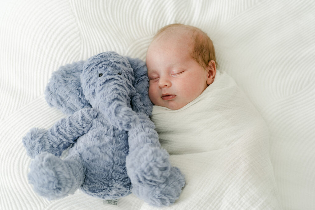 In-Home Newborn Session | Grace Paul Photography 